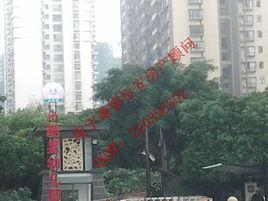 南寧盛天茗城 南寧盛天茗城