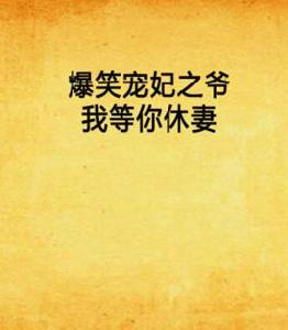 爆笑寵妃之爺我等你休妻 爆笑寵妃之爺我等你休妻