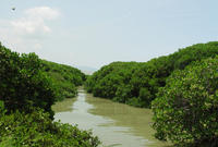 內伶仃島—福田自然保護區 內伶仃島—福田自然保護區
