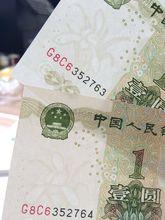 三冠大葉蘭大小葉混水圖示