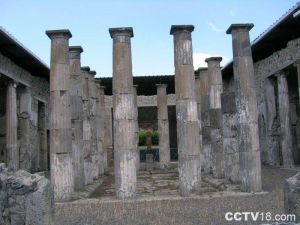 維提之家 維提之家