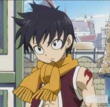 妖精的尾巴[動畫/漫畫《妖精的尾巴》中的公會]