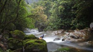 千佛山景區 千佛山景區