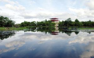 紫菱湖生態園 紫菱湖生態園