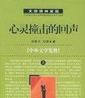 心靈撞擊的回聲 心靈撞擊的回聲