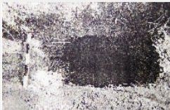 長沙漢代王室古墓群 長沙漢代王室古墓群