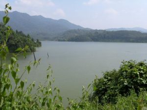 曼旦自然村 曼旦自然村