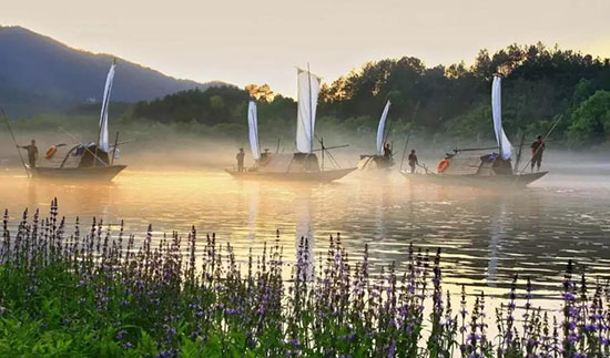 最佳旅行地!每個都是18~22℃的夏天!