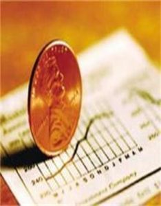 預付資本 預付資本