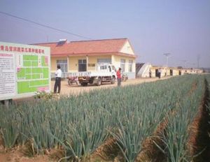 東章嘉埠村 東章嘉埠村