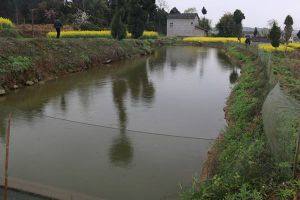 金龍場鄉 金龍場鄉