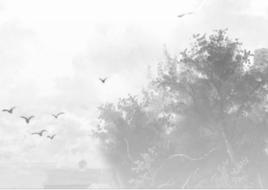 上泉村[大同市雲州區黨留莊鄉上泉村]