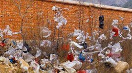 生態污染 生態污染