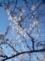 仙人谷[北京旅遊景點]