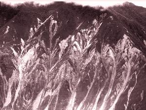 地震壁畫 地震壁畫