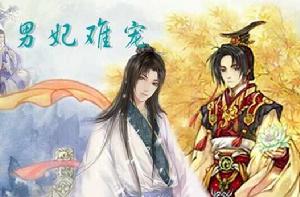 男妃難寵 男妃難寵