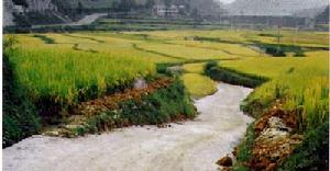 景陽布依族鄉 景陽布依族鄉