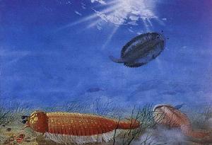 昆蟲遠祖的遠祖----撫仙湖蟲生態景觀