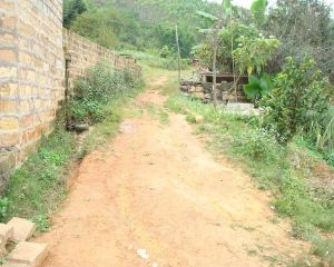 槽子田自然村 槽子田自然村