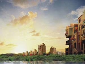 富豪新岸 富豪新岸