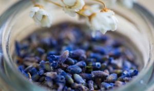 薰衣草花茶 薰衣草花茶