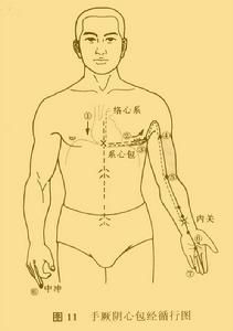 手厥陰心包經