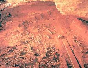 澳洲哺乳動物化石產地 澳洲哺乳動物化石產地