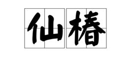 仙椿 仙椿