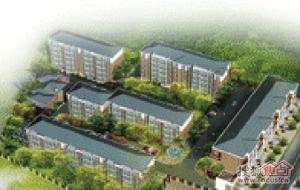 光陽春和苑 光陽春和苑