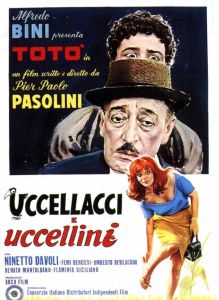 大鳥和小鳥 大鳥和小鳥