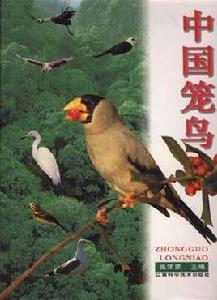 中國籠鳥