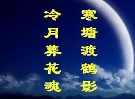 冷月葬花魂 冷月葬花魂