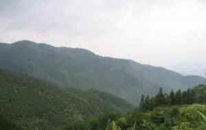 雞籠山[安徽省馬鞍山市雞籠山]