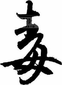 毒[韓寒散文集]