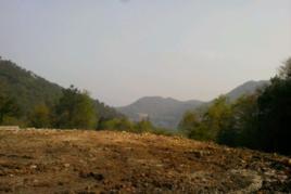 石柱嶺古道 石柱嶺古道