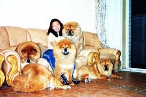 愛狗主義 愛狗主義