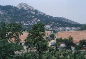 台子溝村 台子溝村