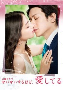 毫不保留的愛[石井康晴執導電視劇]