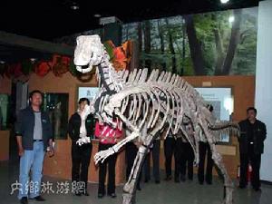 寶天曼博物館 寶天曼博物館