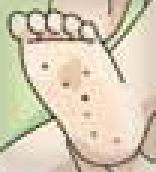 腳踏七星 腳踏七星