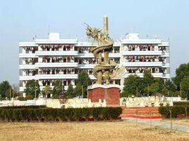 天門市成龍搏擊學校 天門市成龍搏擊學校