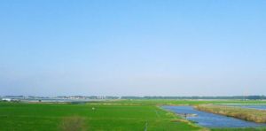 北方大平原 北方大平原