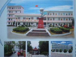 嚴田中學 嚴田中學