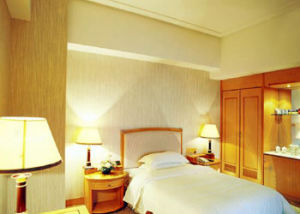 長沙華悅大酒店 長沙華悅大酒店