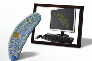 計算機分子生物學 計算機分子生物學