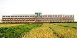 臨洮縣文峰中學 臨洮縣文峰中學