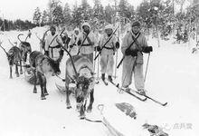 芬蘭軍隊的雪橇步兵正在行軍