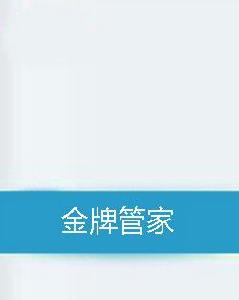 金牌管家[小說類型]