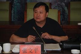 張文平[浙江省建設廳副廳長張文平]
