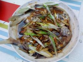 清蒸海昌魚 清蒸海昌魚